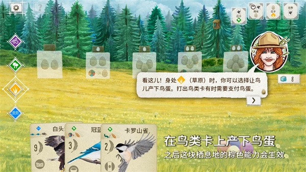 回合阶段示意图
