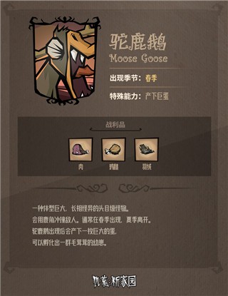 驼鹿鹅