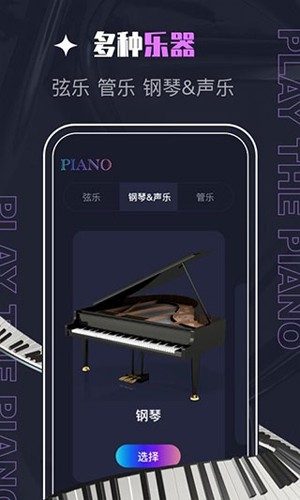 PIASCORE界面